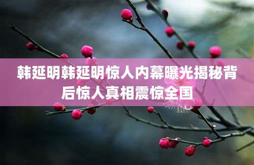 韩延明韩延明惊人内幕曝光揭秘背后惊人真相震惊全国