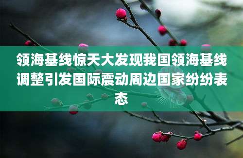 领海基线惊天大发现我国领海基线调整引发国际震动周边国家纷纷表态