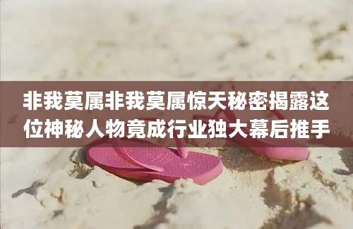 非我莫属非我莫属惊天秘密揭露这位神秘人物竟成行业独大幕后推手