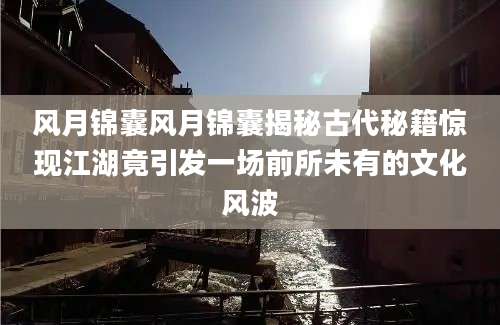 风月锦囊风月锦囊揭秘古代秘籍惊现江湖竟引发一场前所未有的文化风波