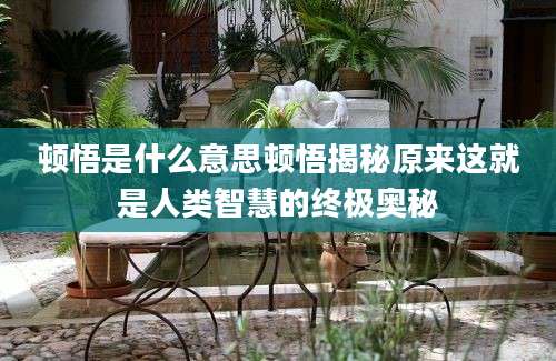顿悟是什么意思顿悟揭秘原来这就是人类智慧的终极奥秘