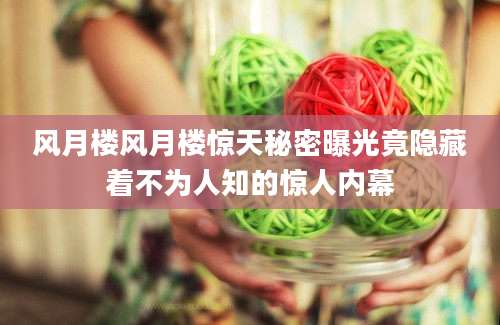 风月楼风月楼惊天秘密曝光竟隐藏着不为人知的惊人内幕