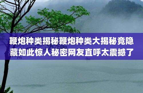 鞭炮种类揭秘鞭炮种类大揭秘竟隐藏如此惊人秘密网友直呼太震撼了