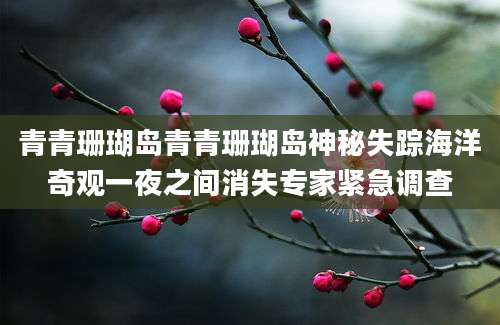 青青珊瑚岛青青珊瑚岛神秘失踪海洋奇观一夜之间消失专家紧急调查