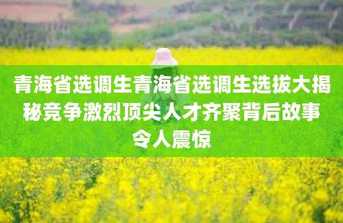 青海省选调生青海省选调生选拔大揭秘竞争激烈顶尖人才齐聚背后故事令人震惊