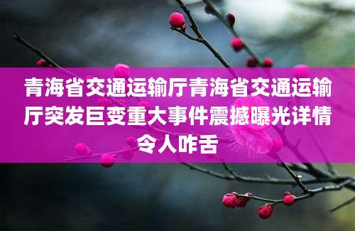 青海省交通运输厅青海省交通运输厅突发巨变重大事件震撼曝光详情令人咋舌