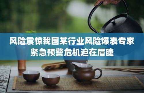 风险震惊我国某行业风险爆表专家紧急预警危机迫在眉睫