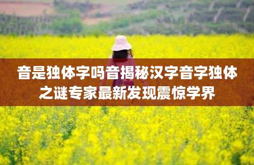 音是独体字吗音揭秘汉字音字独体之谜专家最新发现震惊学界