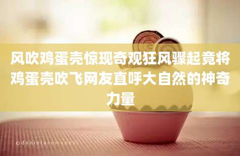 风吹鸡蛋壳惊现奇观狂风骤起竟将鸡蛋壳吹飞网友直呼大自然的神奇力量