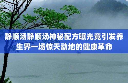静顺汤静顺汤神秘配方曝光竟引发养生界一场惊天动地的健康革命