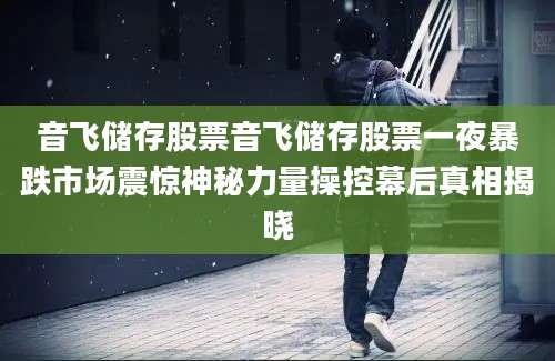 音飞储存股票音飞储存股票一夜暴跌市场震惊神秘力量操控幕后真相揭晓