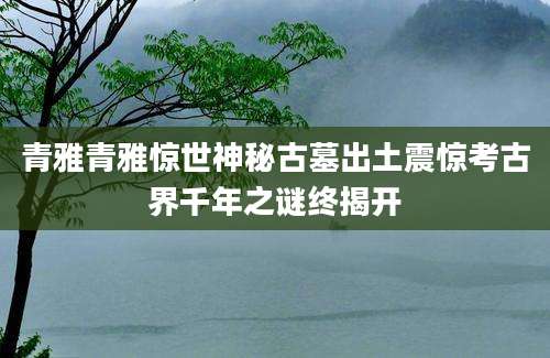 青雅青雅惊世神秘古墓出土震惊考古界千年之谜终揭开