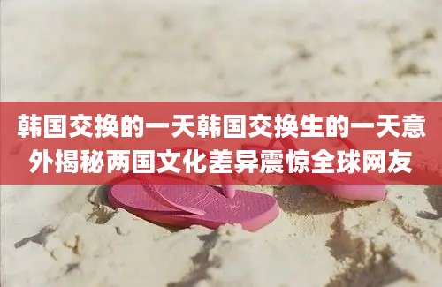 韩国交换的一天韩国交换生的一天意外揭秘两国文化差异震惊全球网友