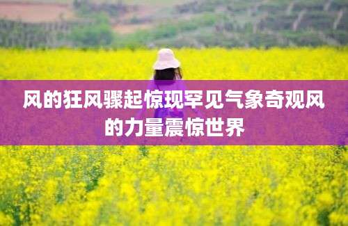 风的狂风骤起惊现罕见气象奇观风的力量震惊世界