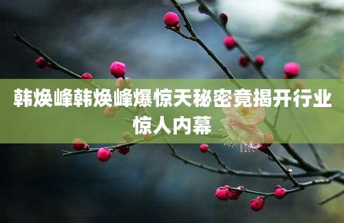 韩焕峰韩焕峰爆惊天秘密竟揭开行业惊人内幕