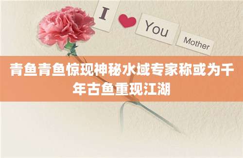 青鱼青鱼惊现神秘水域专家称或为千年古鱼重现江湖