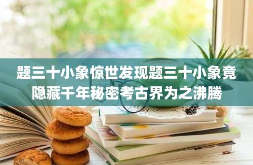 题三十小象惊世发现题三十小象竟隐藏千年秘密考古界为之沸腾