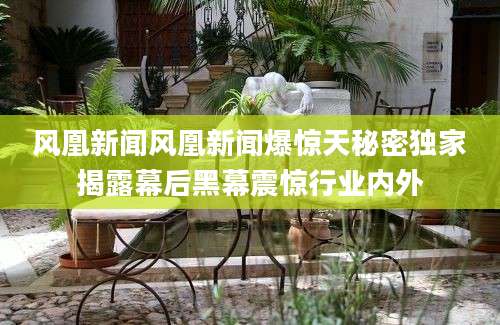 风凰新闻风凰新闻爆惊天秘密独家揭露幕后黑幕震惊行业内外