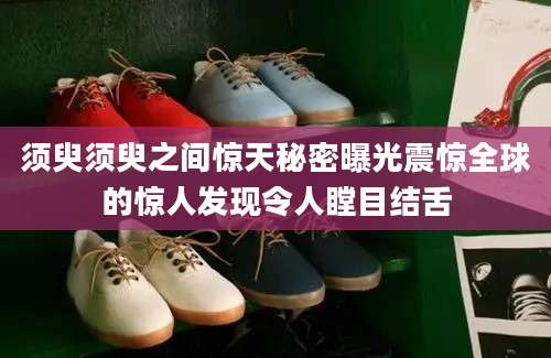 须臾须臾之间惊天秘密曝光震惊全球的惊人发现令人瞠目结舌
