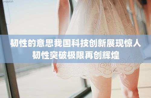 韧性的意思我国科技创新展现惊人韧性突破极限再创辉煌