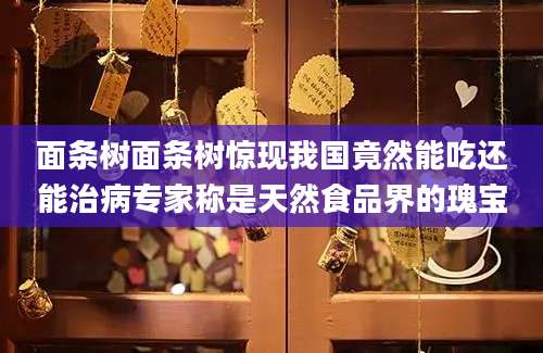 面条树面条树惊现我国竟然能吃还能治病专家称是天然食品界的瑰宝