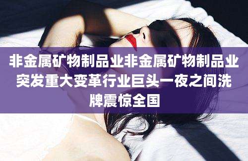 非金属矿物制品业非金属矿物制品业突发重大变革行业巨头一夜之间洗牌震惊全国
