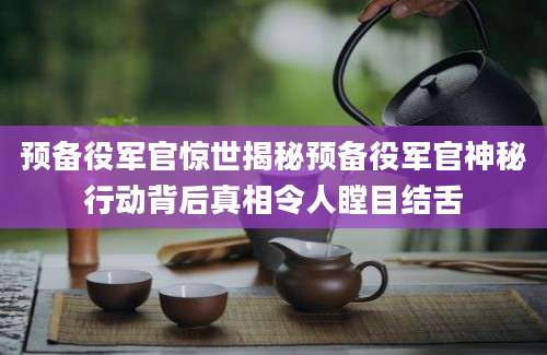 预备役军官惊世揭秘预备役军官神秘行动背后真相令人瞠目结舌