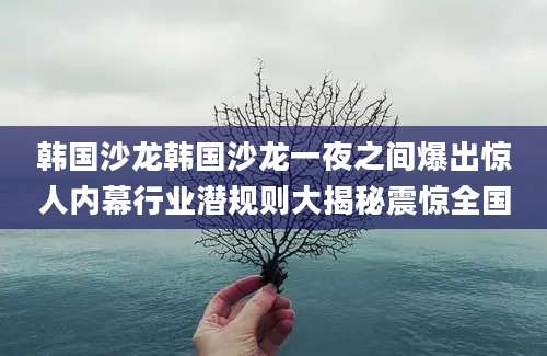 韩国沙龙韩国沙龙一夜之间爆出惊人内幕行业潜规则大揭秘震惊全国