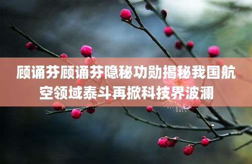 顾诵芬顾诵芬隐秘功勋揭秘我国航空领域泰斗再掀科技界波澜