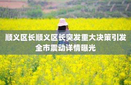 顺义区长顺义区长突发重大决策引发全市震动详情曝光