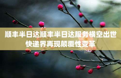 顺丰半日达顺丰半日达服务横空出世快递界再现颠覆性变革