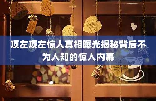 项左项左惊人真相曝光揭秘背后不为人知的惊人内幕